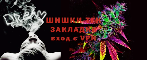 стаф Осташков