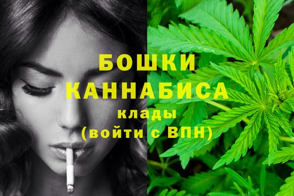 стаф Осташков