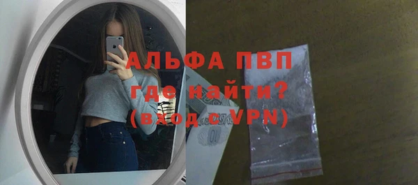 apvp Ельня