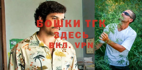 мяу мяу кристалл Осинники