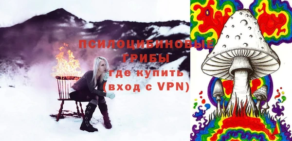 стаф Осташков
