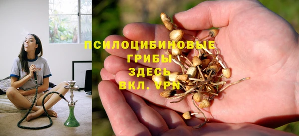 стаф Осташков