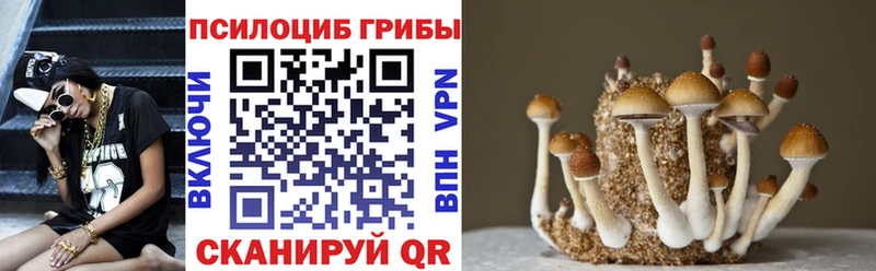 где можно купить   Сольвычегодск  Галлюциногенные грибы MAGIC MUSHROOMS 